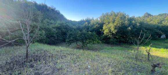 Casa de 1 dormitorio en Estepona, Spain No. 145628 12