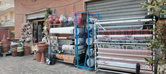 1 room Commercial property in Marino, Italy No. 371642 2