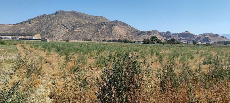 Grundstück in Pinos Puente, Spain 3509m², Nr. 223292