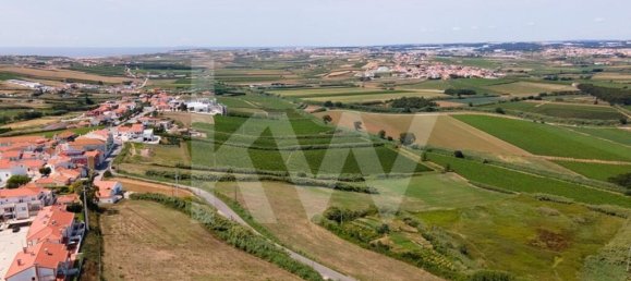 3 bedrooms House in Torres Vedras, Portugal No. 77140 17