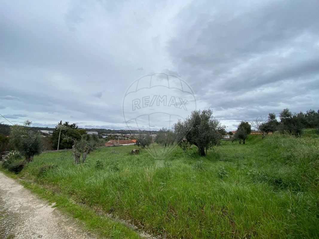  Land in Ourem, Portugal No. 150850