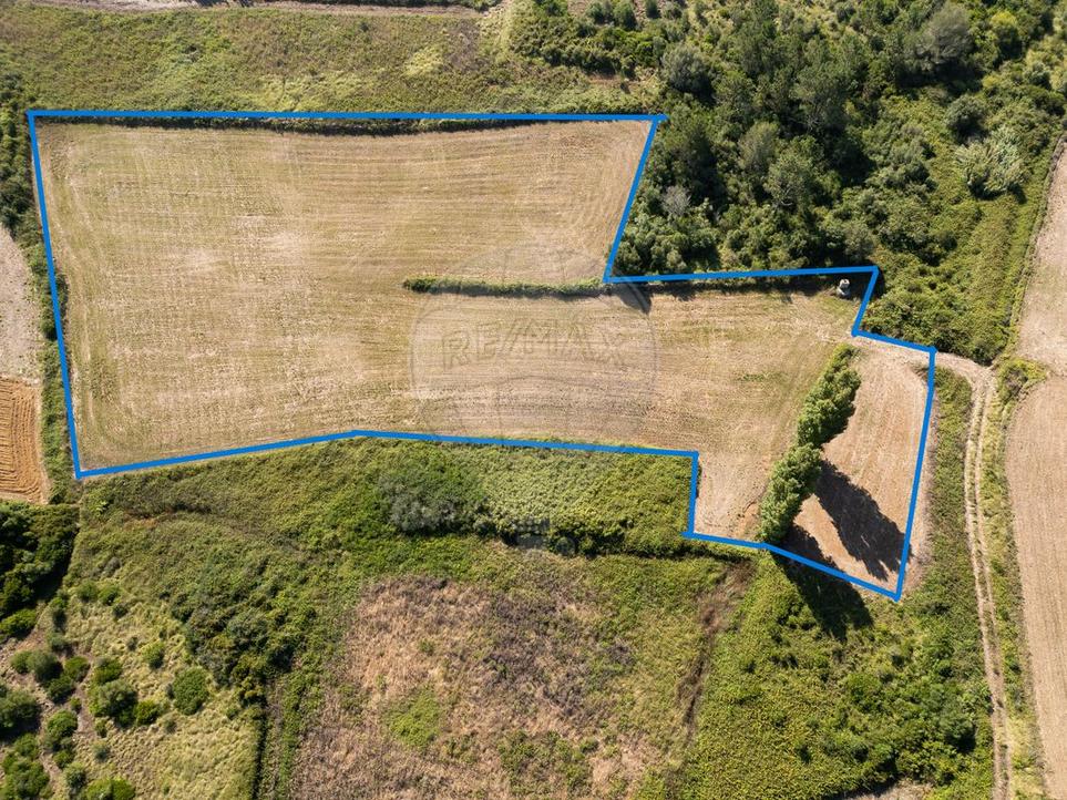 Grundstück in Mafra, Portugal, Nr. 71160