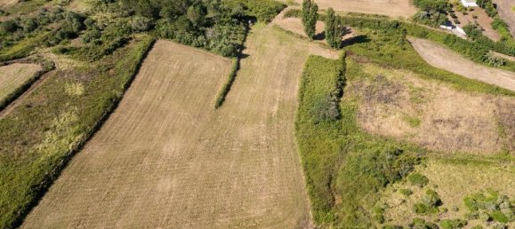 Grundstück in Mafra, Portugal, Nr. 71160 3