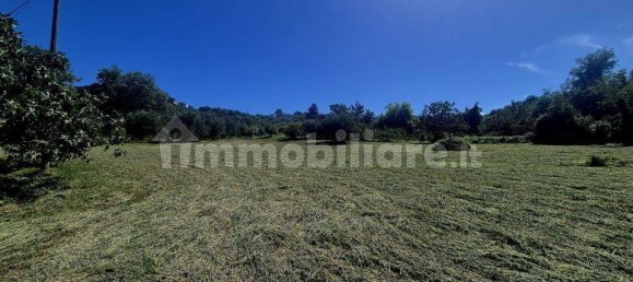 Villa T4 em Casacanditella, Italy N.º 337192 12