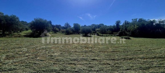 Villa T4 em Casacanditella, Italy N.º 337192 13