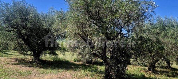 Villa T4 em Casacanditella, Italy N.º 337192 14