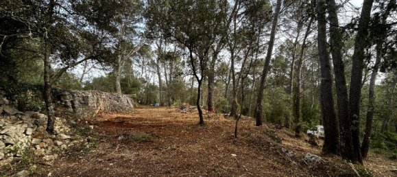 Grundstück in Lorgues, France, Nr. 316131 3