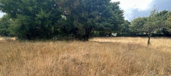 Terreno en Occitanie, France 3134 m² No. 342154 6