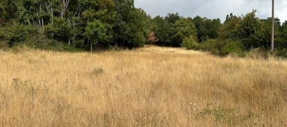 Terreno en Occitanie, France 3134 m² No. 342154 5