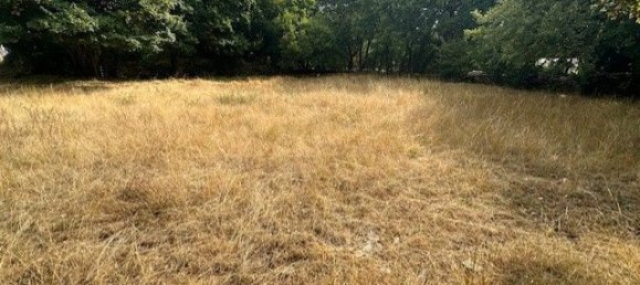 Terreno en Occitanie, France 3134 m² No. 342154 10