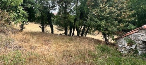 Terreno en Occitanie, France 3134 m² No. 342154 16