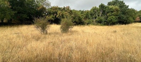 Terreno en Occitanie, France 3134 m² No. 342154 4