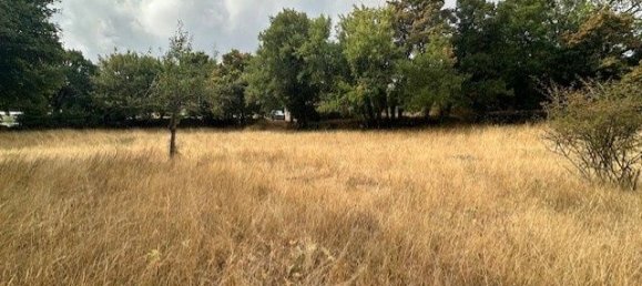 Terreno en Occitanie, France 3134 m² No. 342154 7