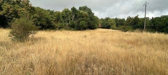 Terreno en Occitanie, France 3134 m² No. 342154 8