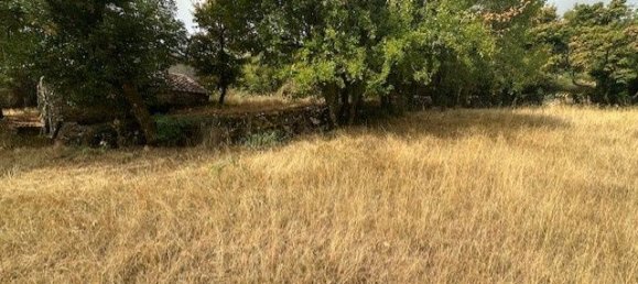 Terreno en Occitanie, France 3134 m² No. 342154 9