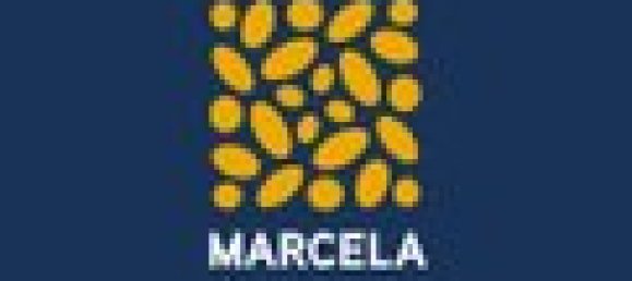 Таунхаус с 3 спальнями в Луш, Португалия № 95276 30