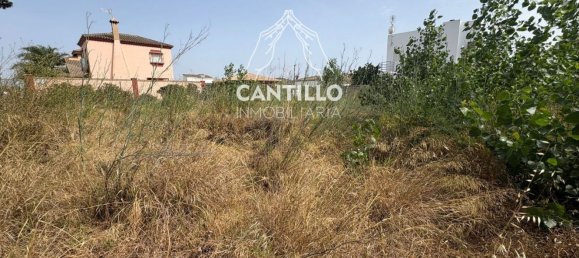 Grundstück in Cadiz, Spain 480m², Nr. 150206 6