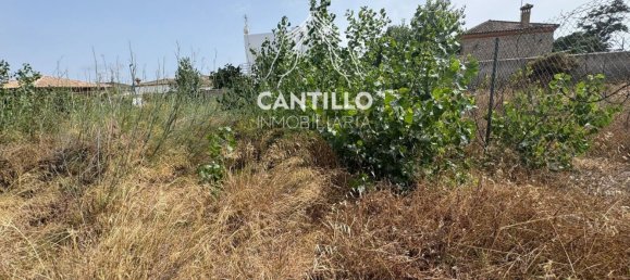 Grundstück in Cadiz, Spain 480m², Nr. 150206 5