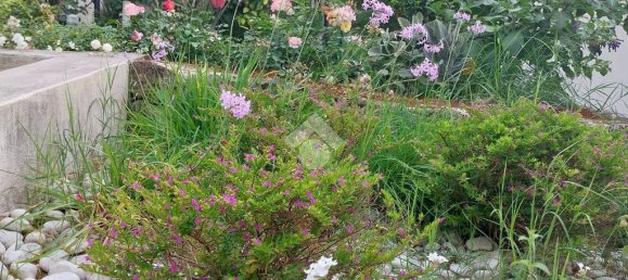 2 bedrooms Apartment in Ischia, Italy No. 54745 4