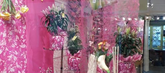 35m² Commercial property in Tarascon-sur-Ariege, France No. 343991 6