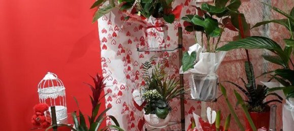 35m² Commercial property in Tarascon-sur-Ariege, France No. 343991 4