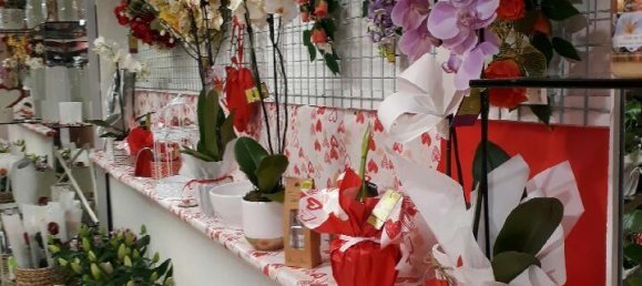 35m² Commercial property in Tarascon-sur-Ariege, France No. 343991 5