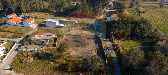 503m² Land in Palhaca, Portugal No. 73088 2