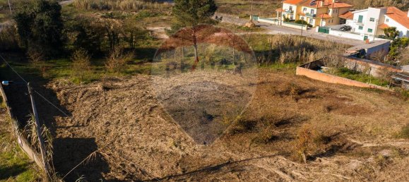 503m² Land in Palhaca, Portugal No. 73088 5