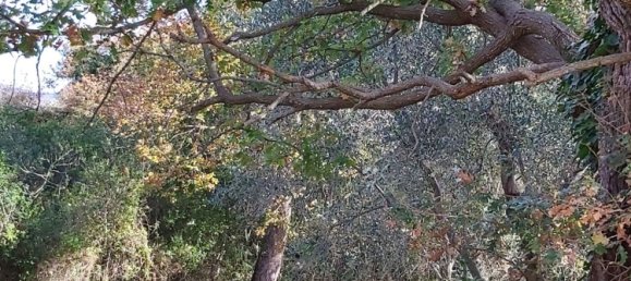 Studio in Manciano, Italy No. 291463 4