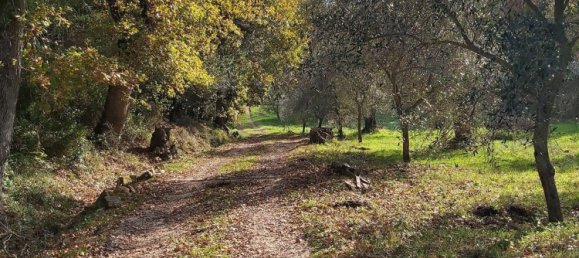 Studio in Manciano, Italy No. 291463 3