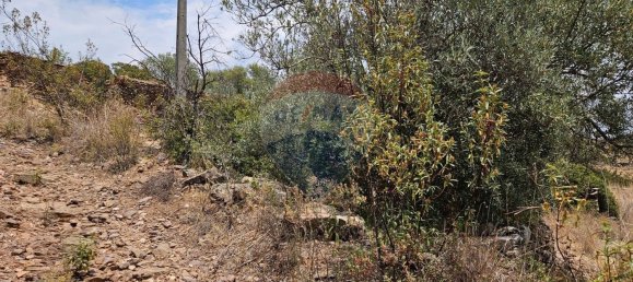  قطعة أرض في Sao Bras de Alportel, Portugal 171متر مربع رقم 42641 5