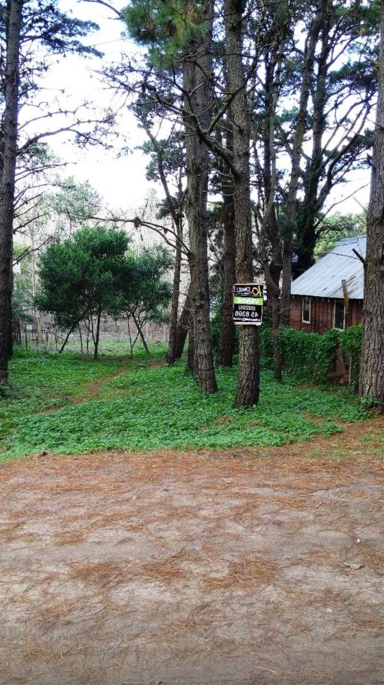  Land in Mar del Plata, Argentina No. 116551