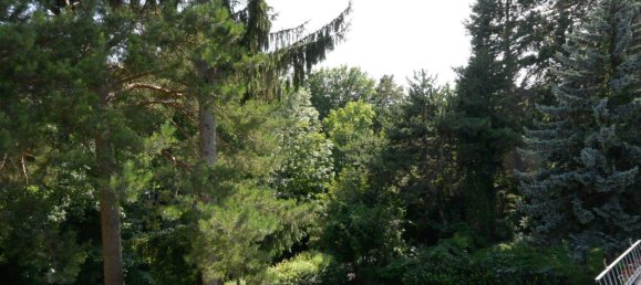 6 rooms Land in Dobling, Austria No. 98619 10