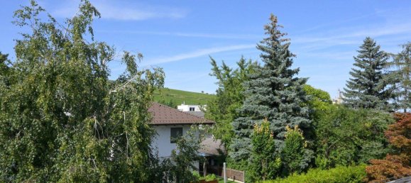 6 rooms Land in Dobling, Austria No. 98619 15