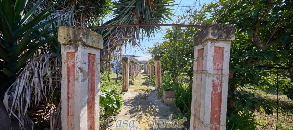 9 bedrooms House in Gallipoli, Italy No. 155034 34