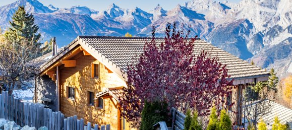 5 bedrooms House in Nendaz, Switzerland No. 295 28