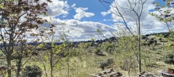 Земельный участок в Лас-Розас де Мадрид, Испания № 118333 11