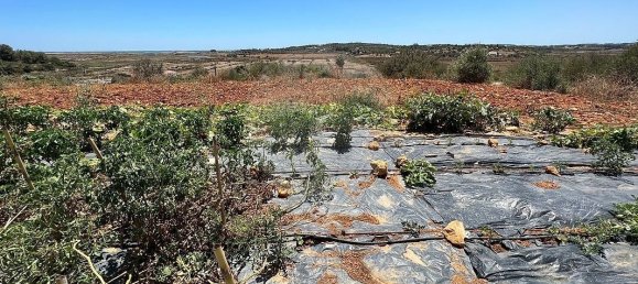 Villa de 4 dormitorios en Alvor, Portugal No. 23445 25