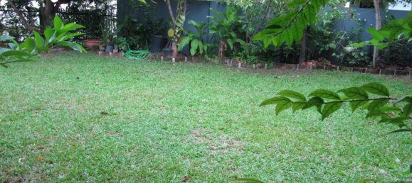 3 bedrooms Cafe / restaurant in Pattaya, Thailand No. 663 10