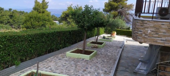 8 غرف نوم عقار تجاري في Kalamos, Greece رقم 3691 7