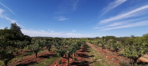 4 Schlafzimmer Villa in Loule, Portugal, Nr. 256137 43