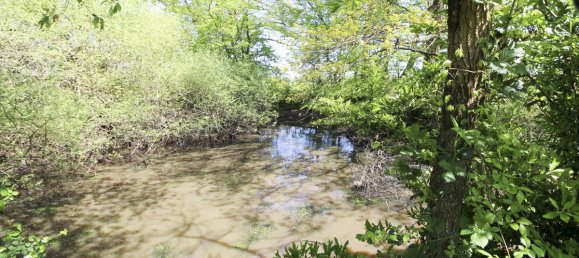 Casa de 2 dormitorios en Le Charme, France No. 87579 18