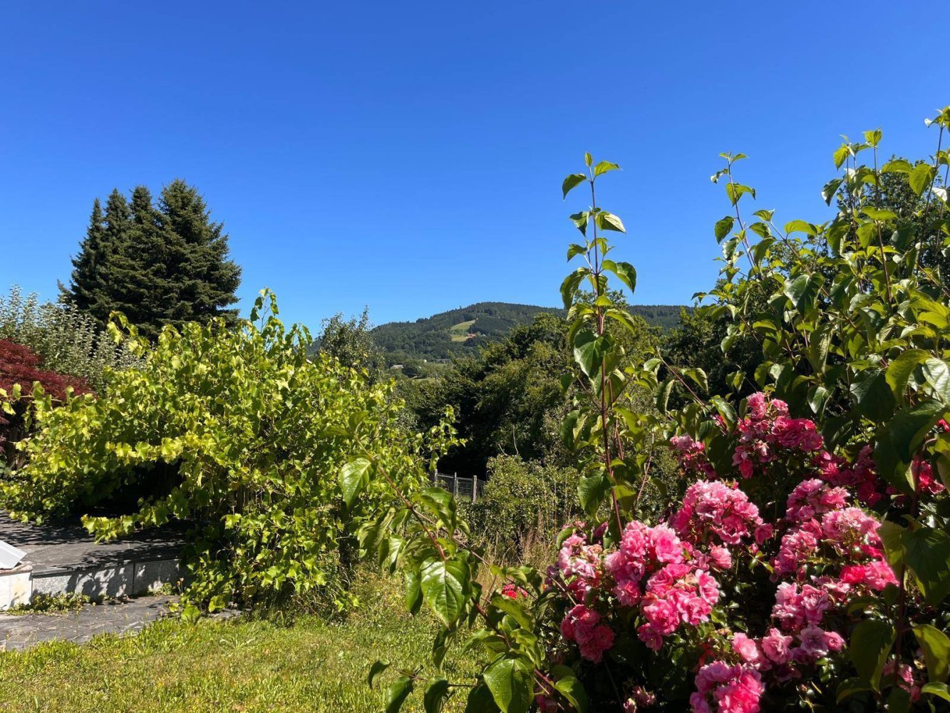 3 Schlafzimmer Haus in Steyr, Austria, Nr. 144290