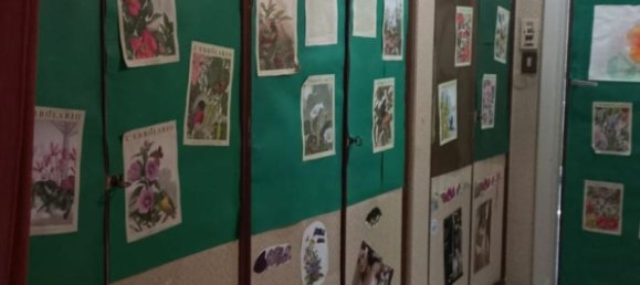 5 Schlafzimmer Wohnung in Capannori, Italy, Nr. 379724 5