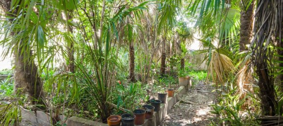 5 chambres Villa à Rivoli, Italy No. 265439 18