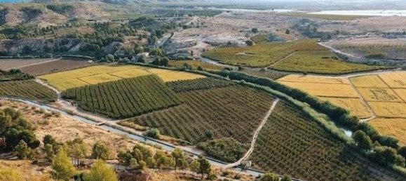 3 Schlafzimmer Villa in Calasparra, Spain, Nr. 9486 11