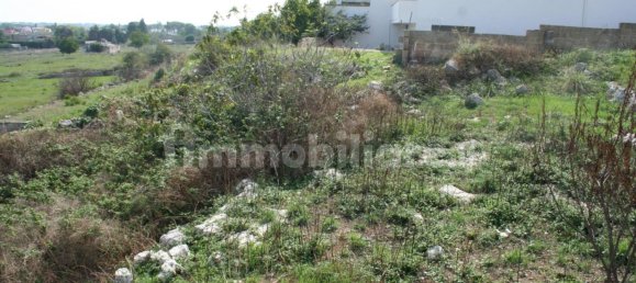 617m² Land in Ugento, Italy No. 153315 6