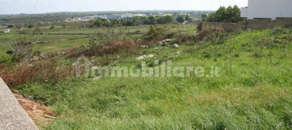 617m² Land in Ugento, Italy No. 153315 5