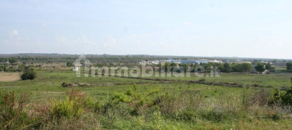 617m² Land in Ugento, Italy No. 153315 14