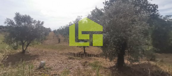 Terreno en Ega, Portugal 2700 m² No. 70957 16